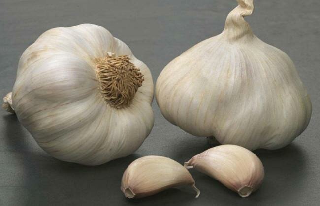 Garlic Cloves Health Benefits